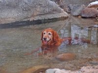 PC247447ed (Large).jpg