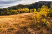 Ridge Autumn Leaves 9-20180329-recipe-sh.jpg