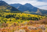 Ridge Autumn Leaves 9-20180070.jpg