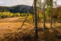 Ridge Autumn Leaves 9-20180316-proc.jpg