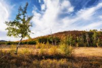 Ridge Autumn Leaves 9-20180468-recipe-sh.jpg