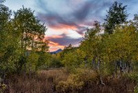 Ridge Autumn Leaves 9-20180535-proc.jpg
