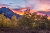 Ridge Autumn Leaves 9-20180605-noise.jpg