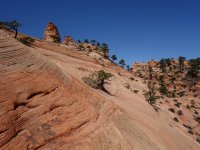 DSC05726.JPG DSC05726.JPG