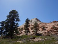 DSC05737.JPG DSC05737.JPG