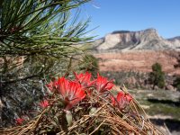 DSC05738.JPG DSC05738.JPG