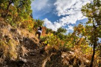 Sawmill 10-20180017-proc.jpg