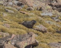 P9137740.jpg P9137740.jpg