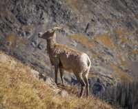 P9137836.jpg P9137836.jpg