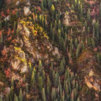 Sawmill 10-20180038-recipe-sh.jpg