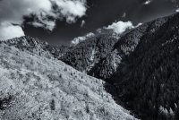 Sawmill 10-20180072-bw.jpg