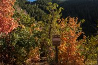 Sawmill 10-20180097.jpg