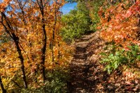 Sawmill 10-20180101-proc.jpg