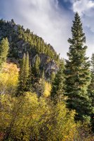 Sawmill 10-20180148-proc.jpg