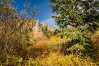 Sawmill 10-20180184-proc_1.jpg