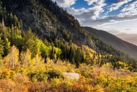 Sawmill 10-20180263-proc.jpg