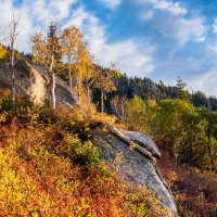 Sawmill 10-20180362-proc-crop2.jpg