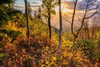 Sawmill 10-20180376-proc.jpg