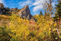 Sawmill 10-20180379-proc.jpg