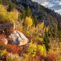 Sawmill 10-20180391-sq-proc.jpg