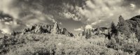 The Guardian Pan 0275 -proc-bw.jpg
