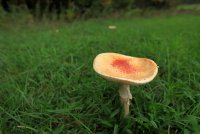 5J5A2769.JPG 5J5A2769.JPG