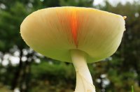 5J5A2787.JPG 5J5A2787.JPG