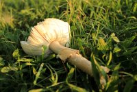 5J5A2815.JPG 5J5A2815.JPG