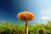 5J5A2829A.JPG 5J5A2829A.JPG