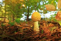 5J5A2842.JPG 5J5A2842.JPG