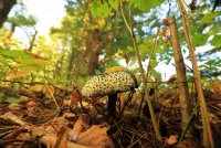 5J5A2847.JPG 5J5A2847.JPG