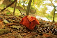 5J5A2871A.JPG 5J5A2871A.JPG