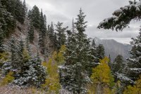 IMG_0702.jpg IMG_0702.jpg