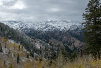 IMG_0708.jpg IMG_0708.jpg