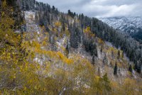 IMG_0712.jpg IMG_0712.jpg