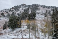 IMG_0724.jpg IMG_0724.jpg