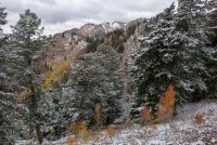 IMG_0729.jpg IMG_0729.jpg