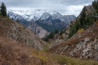 IMG_0736.jpg IMG_0736.jpg