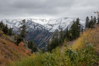 IMG_0737.jpg IMG_0737.jpg