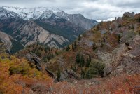 IMG_0739.jpg IMG_0739.jpg