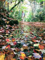 P6- Rick at pool pool of water with leaves-IMG_2104.jpg