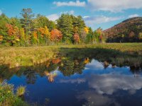 P37-pond at return-PA100532.jpg
