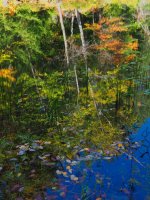 P27-leaves and tree trunks reflections-PA100451.jpg