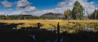 P15-pond panorama-peak background-Adironack Marsh Pano.jpg