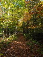 P9-wodden path-PA100182.jpg