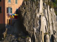 manarola cliff 2.jpg