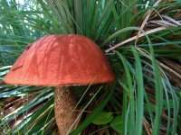 IMG_2271.JPG IMG_2271.JPG