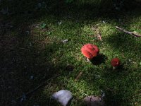 IMG_3027.JPG IMG_3027.JPG