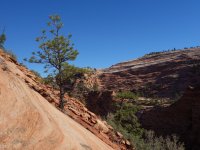 DSC08090.JPG DSC08090.JPG