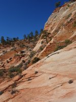 DSC08098.JPG DSC08098.JPG